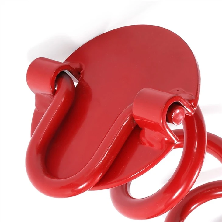Spiral Ground Anchor With Carabiner Hook